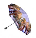 Зонт Gilux G3F 22FALT LUX (расцветка 317)